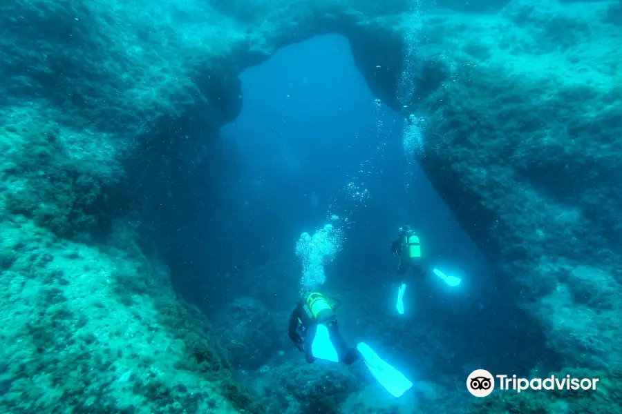 Buceo Barracuda