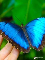 Mariposario Metropolitano