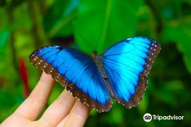 Mariposario Metropolitano