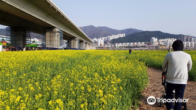 Maekdo Ecological Park
