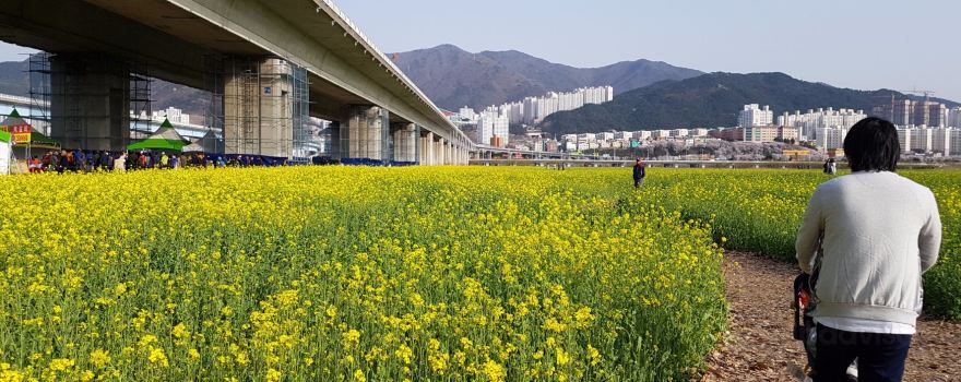 Maekdo Ecological Park