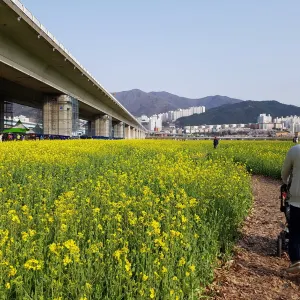 麥島生態公園