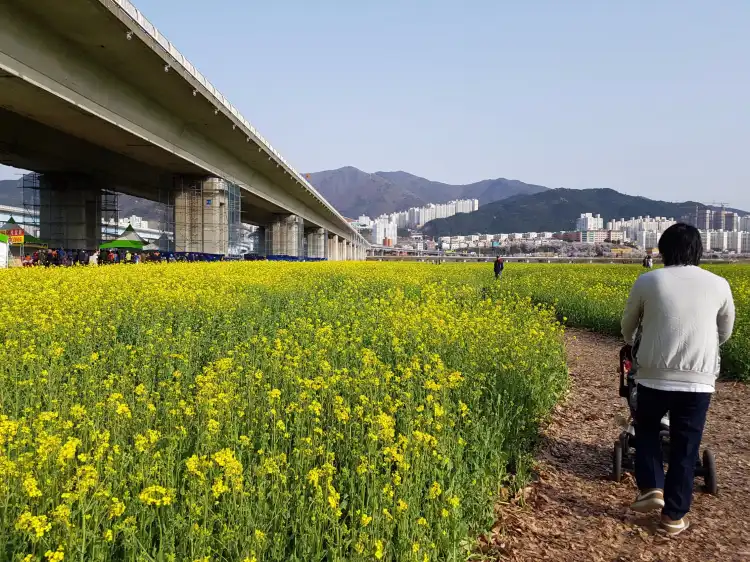 Hotels near Maekdo Ecological Park