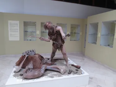 Museum of RS