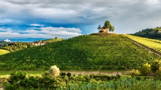 Azienda Agricola Negro Angelo & Figli