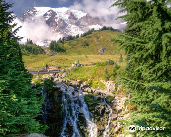 Myrtle Falls