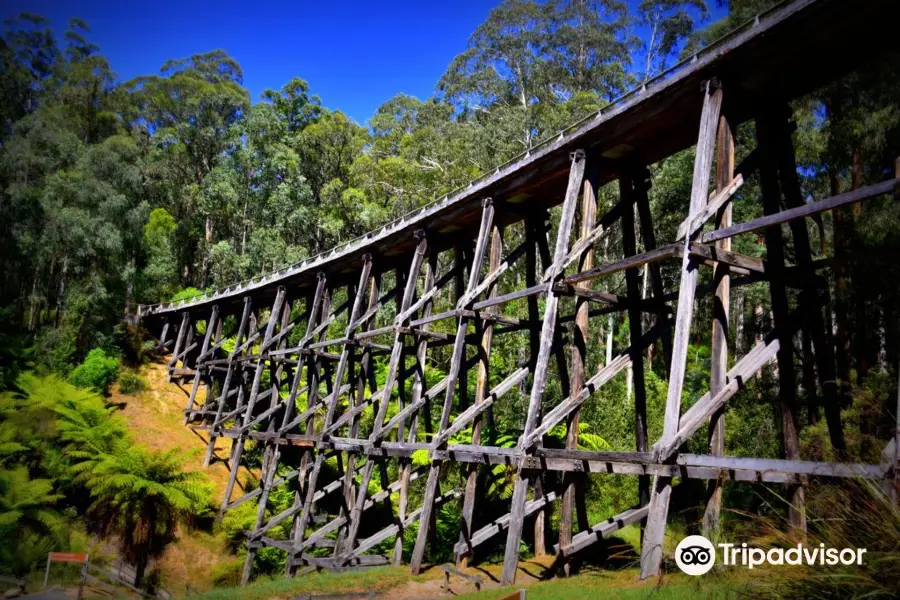 Noojee Trestle Bridge