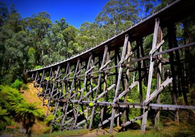 Noojee Trestle Bridge