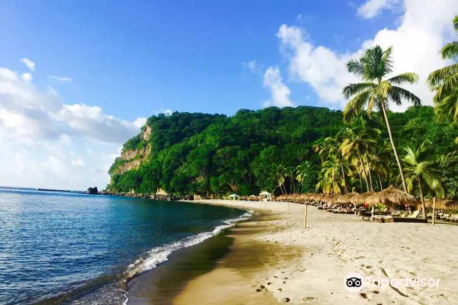 Anse Chastanet Beach and Reef