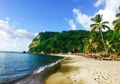 Anse Chastanet Beach and Reef