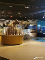 Delaware Museum of Natural History