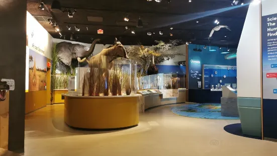 Delaware Museum of Nature & Science