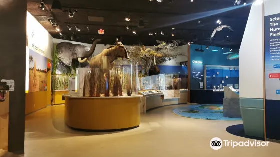 Delaware Museum of Natural History