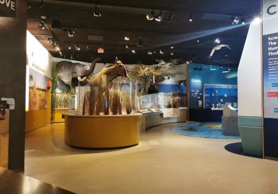 Delaware Museum of Nature & Science