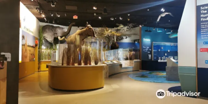 Delaware Museum of Natural History