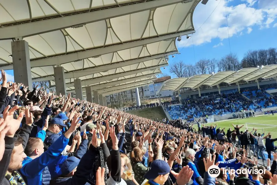 Ludwigsparkstadion