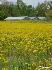 Murray State Arboretum