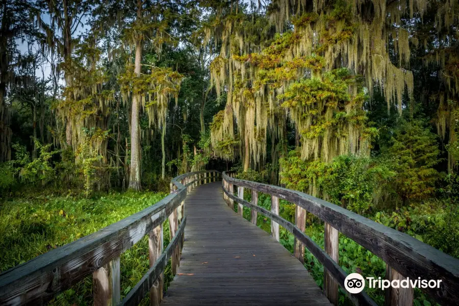 Phinizy Swamp Nature Park