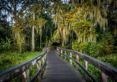 Phinizy Swamp Nature Park