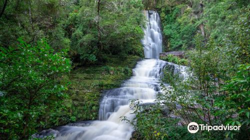 McLean Falls