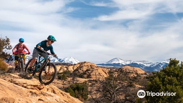 Momentum Mountain Biking