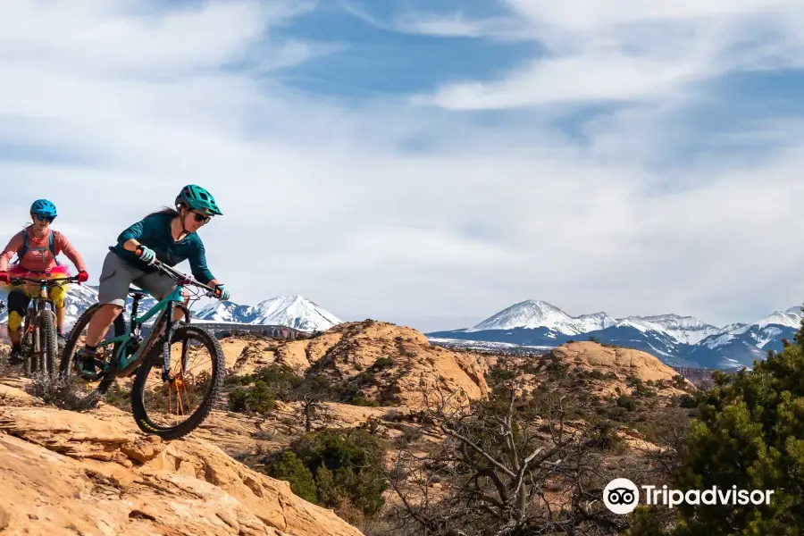 Momentum Mountain Biking