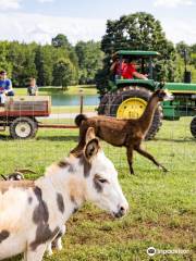 Carrigan Farms