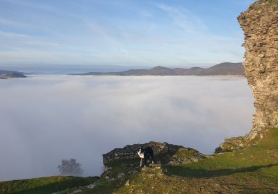 Castell Dinas Brân