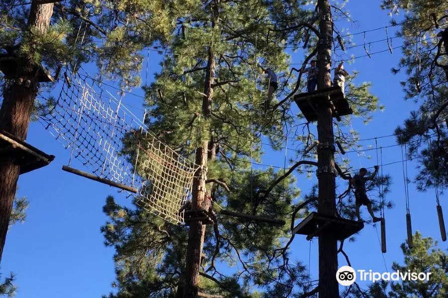 Flagstaff Extreme Adventure Course