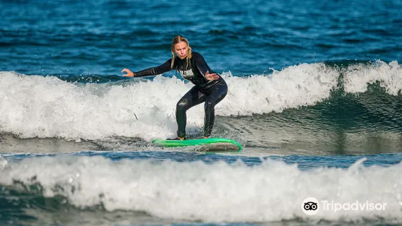 Friends of the Ocean - Tenerife Surf School/ Rentals / Paddle Boards
