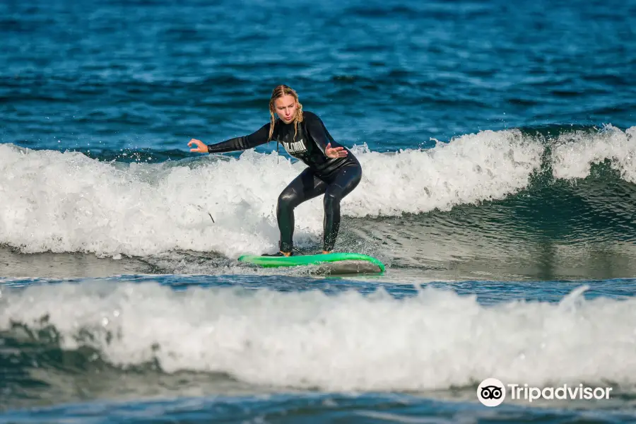 Friends of the Ocean - Tenerife Surf School/ Rentals / Paddle Boards