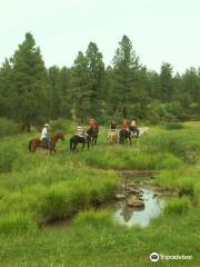 Porter Mountain Stables