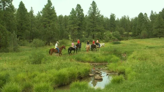 Porter Mountain Stables