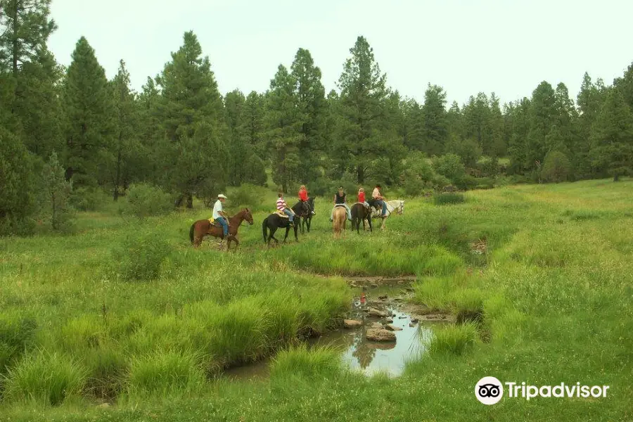 Porter Mountain Stables