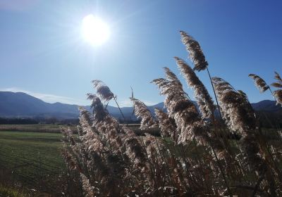 Pantano di Pignola