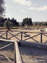 Museo e Parco Archeologico Nazionale di Locri