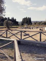 Museum and Archaeological Park of Locri