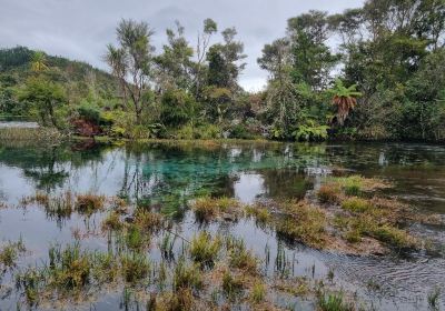 Te Waikoropupu Springs