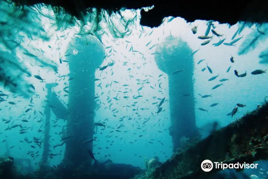 Abyss Dive Center Bali