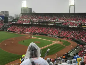 Mazda Zoom-Zoom Stadium Hiroshima