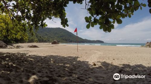 Antigos E Antiguinhos Beach