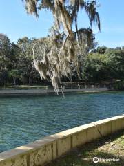 Salt Springs Recreation Area