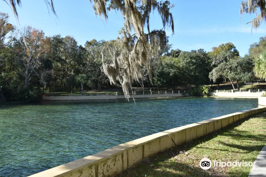 Salt Springs Recreation Area