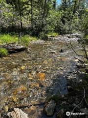 Allison Creek Falls