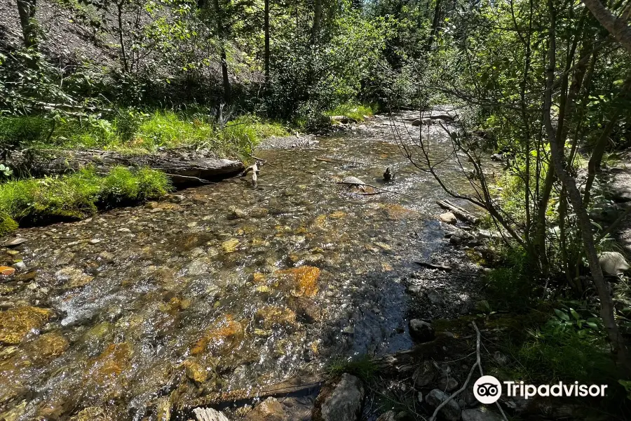 Allison Creek Falls