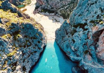 Pla de Mallorca