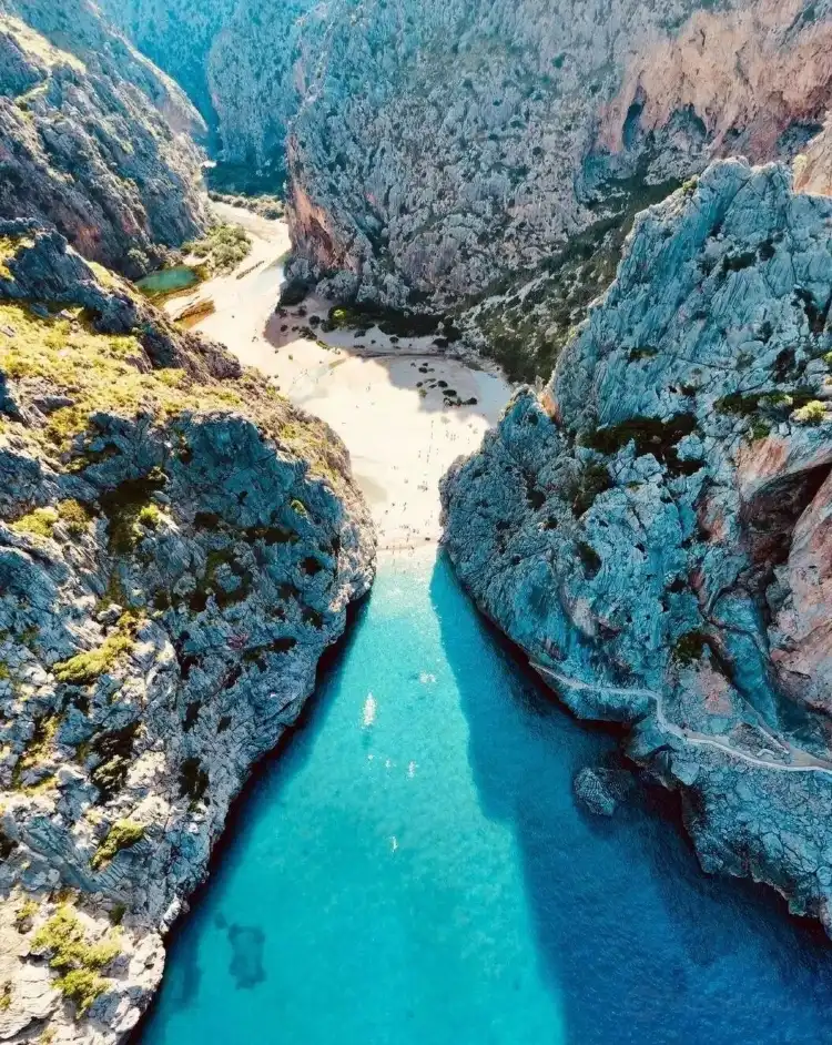 Pla de Mallorca