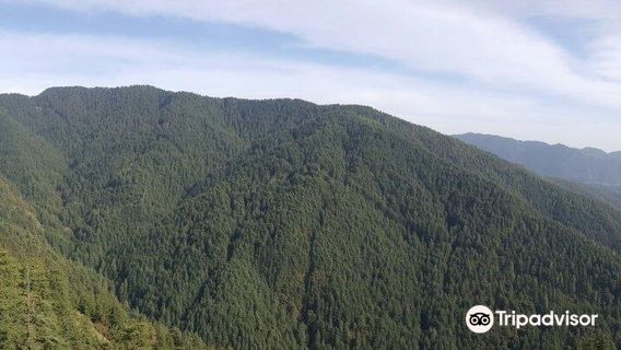 Green Valley