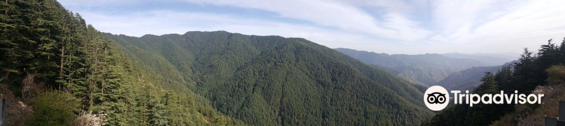 Green Valley