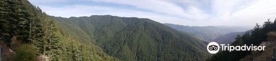 Green Valley